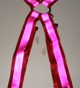 Suspenders pink on red webbing
